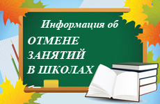 Организация охраны здоровья учеников.